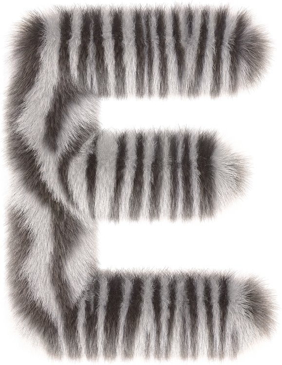 3d zebra fur letter E